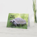 Search for turtle birthday cards Reptile