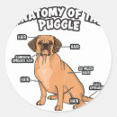 Search for pug stickers lover