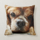 Search for cavalier king charles spaniel pillows Ruby