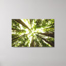 Search for olympic national park gifts Woods