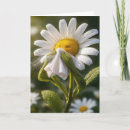 Search for funny plant cards Flower