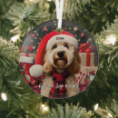 Search for labradoodle ornaments Puppy