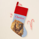 Search for cavalier king charles christmas stockings Puppy
