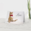 Search for charity holiday cards Rescue