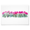 Search for 7x5 posters Tulips
