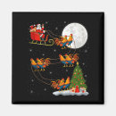 Search for rooster magnets Kids