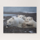 Search for alaska puzzles Tundra