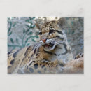 Search for 4x6 postcards Mail