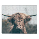 Search for highland cow puzzles Scotland
