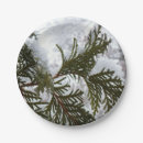 Search for evergreen paper plates Snow