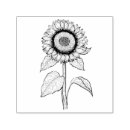 Search for sunflower stamps Illustration