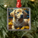 Search for yellow lab ornaments Yellow labrador retriever
