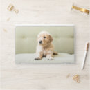 Search for cute laptop skins Pets