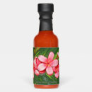 Search for hawaiian favors Island