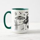Search for insect mugs Zoology