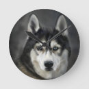 Search for big head posters Pet