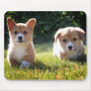 Search for corgi gifts Dog lovers