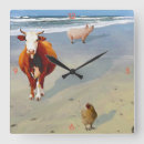 Search for cow clocks Pig