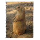 Search for prairie dog gifts Adorable