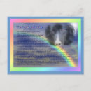 Search for rainbow bridge poem pets Bereavement