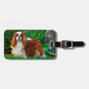 Search for cavalier king charles spaniel gifts Animal