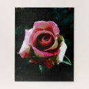 Search for rose puzzles Beauty