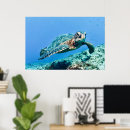 Search for sea turtle posters Green