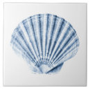 Search for ocean life tiles Seashell