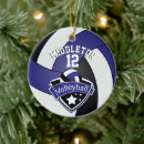 Search for beach volleyball ornaments Sports