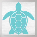 Search for sea turtle posters Florida