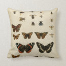 Search for insect pillows Animals