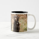 Search for labrador retriever mugs Animals