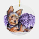 Search for angel wings ornaments Pets