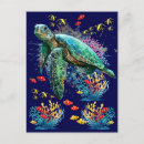 Search for sea turtle postcards Underwater