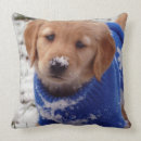 Search for golden retriever pillows Snow
