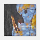 Search for funny squirrel sayings magnets Animal