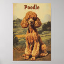 Search for vintage poodle posters Puppy