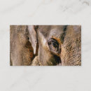 Search for zoo business cards Wild