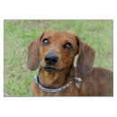Search for dachshund cutting boards Cute