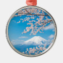 Search for cherry blossom ornaments Lake kawaguchi