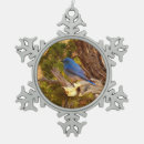 Search for bluebird ornaments Nature