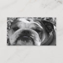 Search for english bulldog business cards Animal