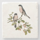 Search for bird coasters Pretty