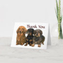 Search for dachshund thank you cards Doxie