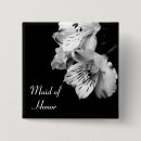 Search for man of honor buttons Best
