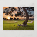Search for golf postcards Landscape