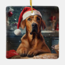 Search for rhodesian ridgeback ornaments Funny