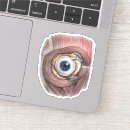 Search for eyeball stickers Optometry