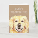 Search for golden retriever get well cards Animal