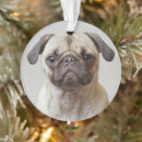 Search for pug ornaments Portrait